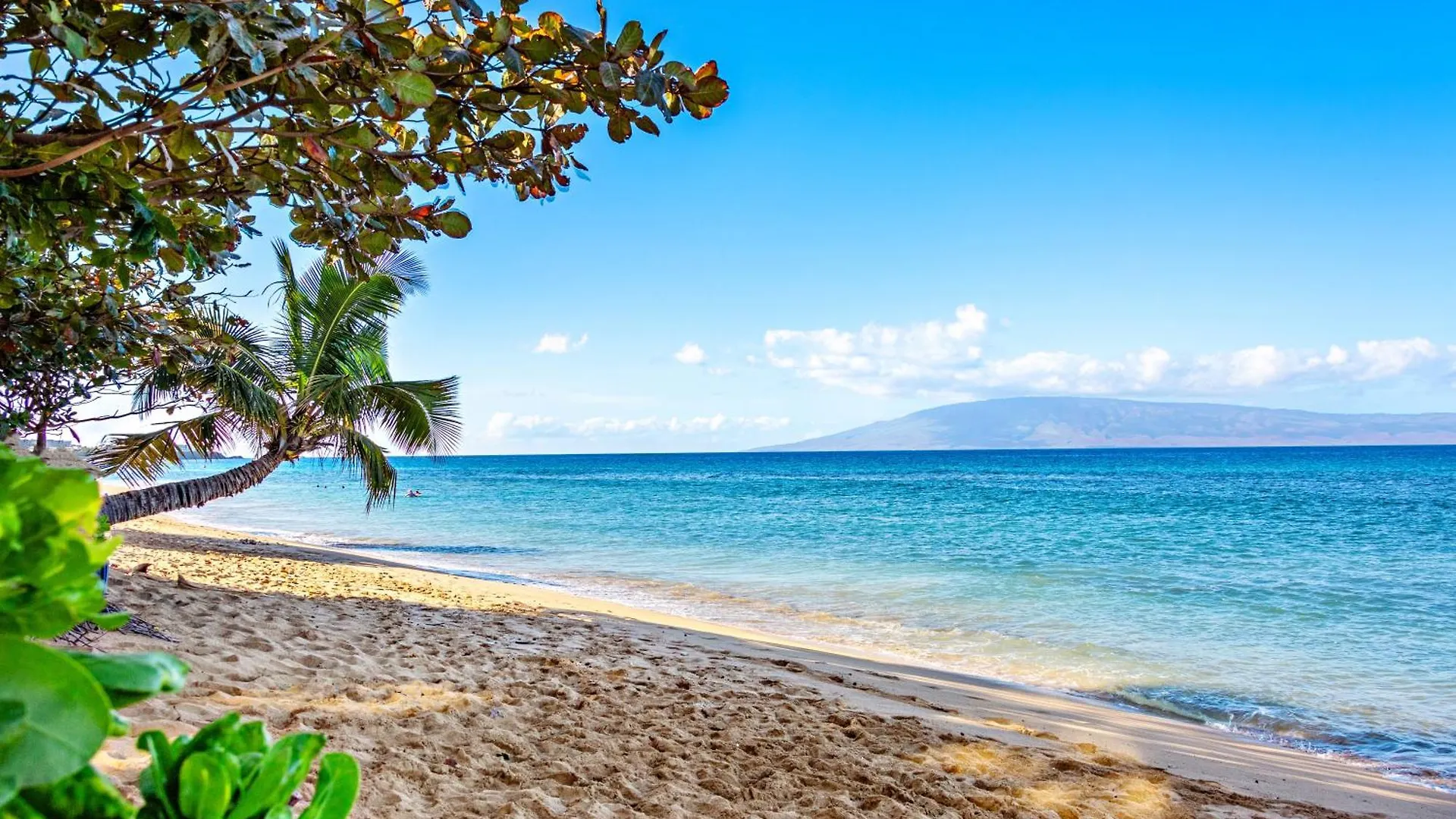 Mahana 517 Kahana